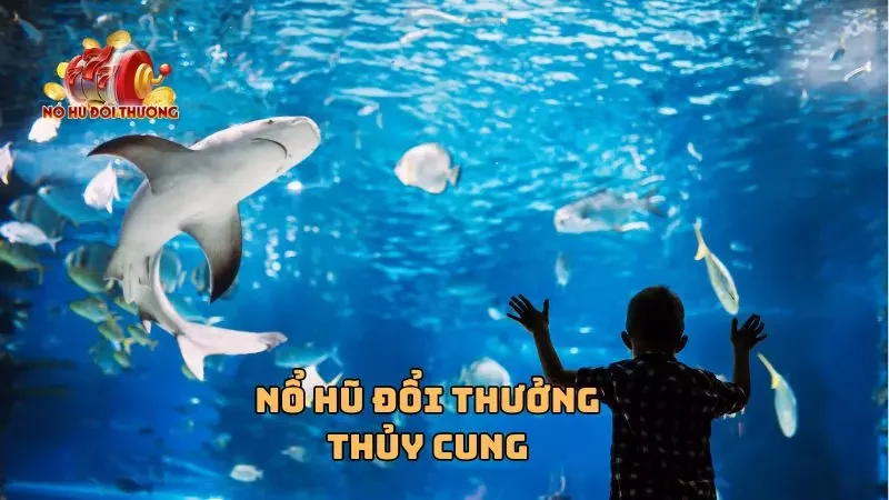 các giác tuyệt vời không thể tả được!